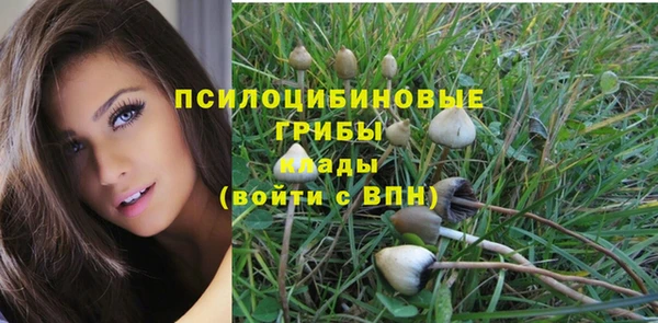 тгк Алексин