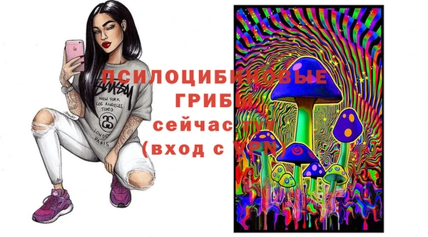тгк Алексин