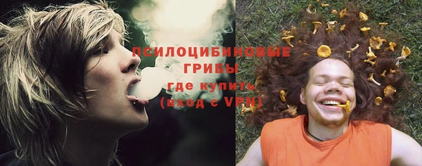 не бодяженный Алзамай